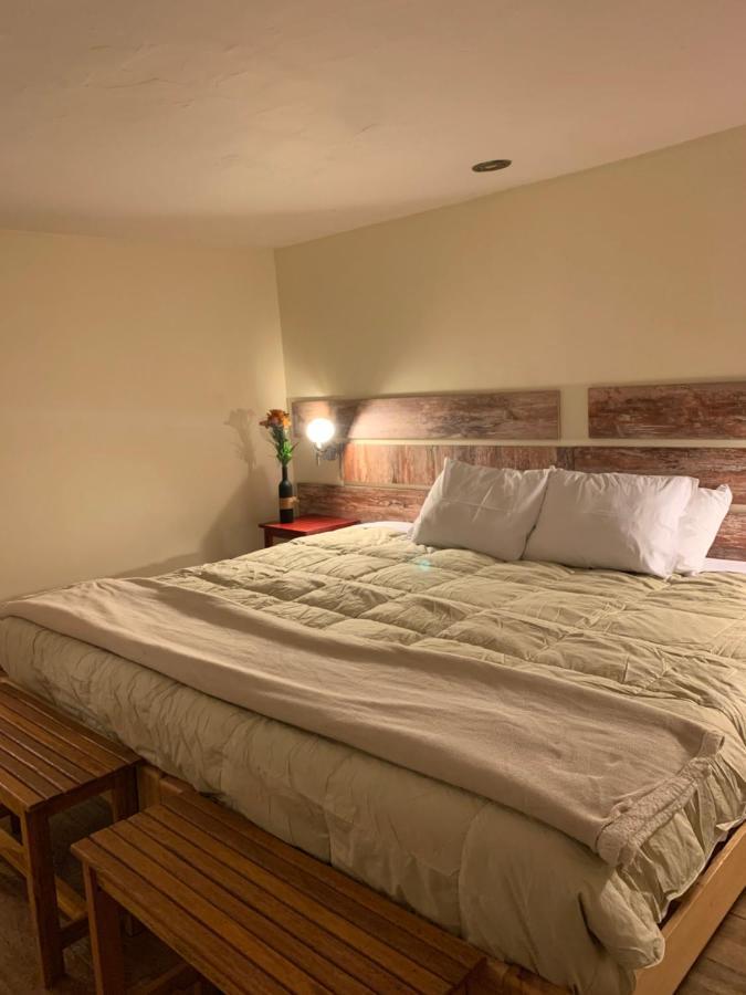 Gaia House Hostel クスコ エクステリア 写真